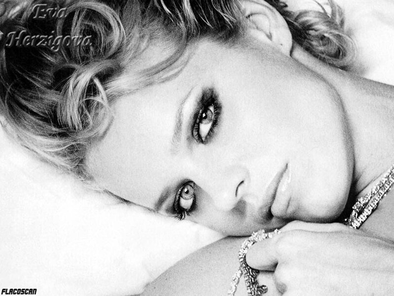 Eva Herzigova portrait