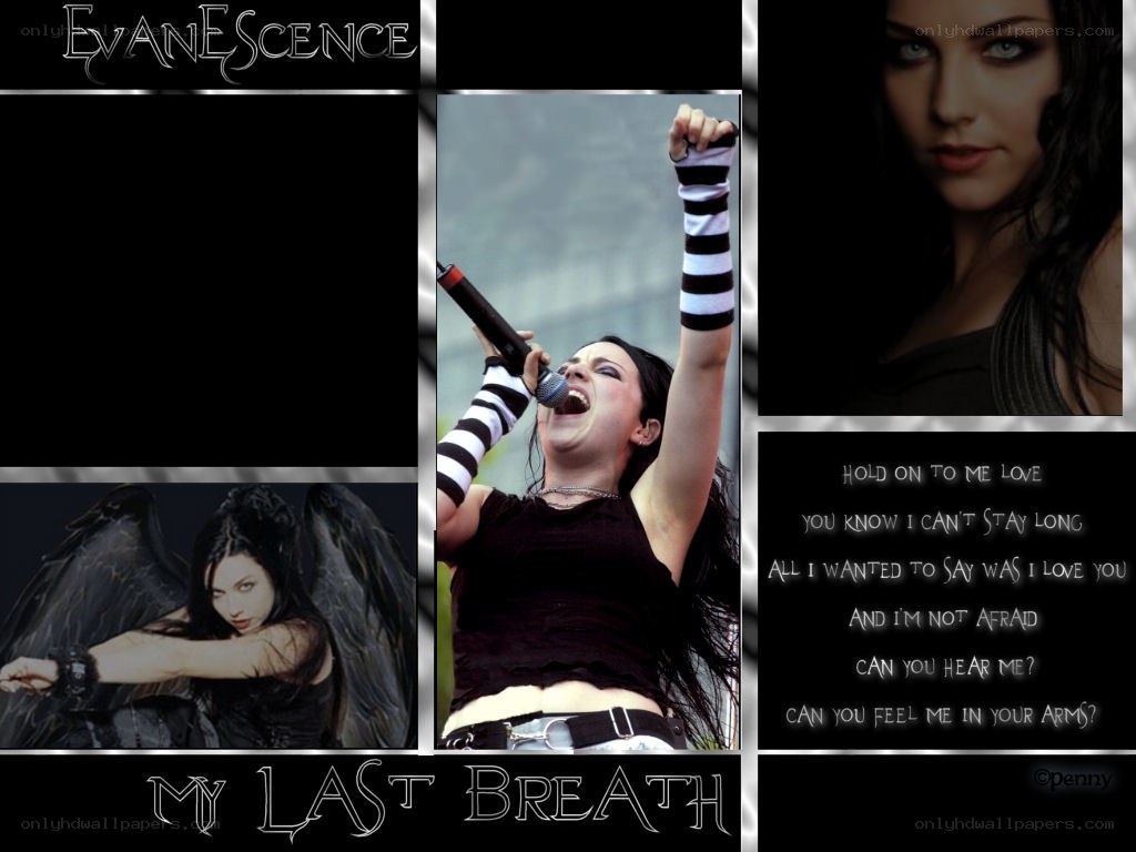 Evanescence concert collage