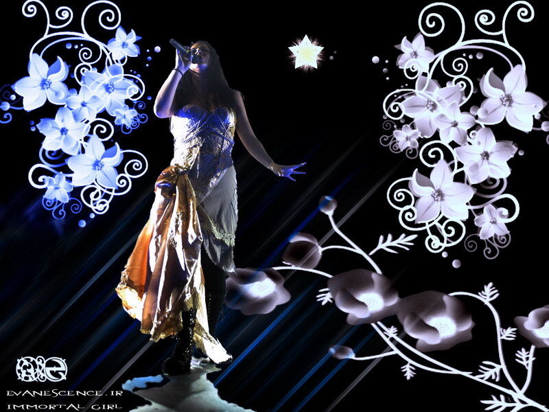 Evanescence concert performance