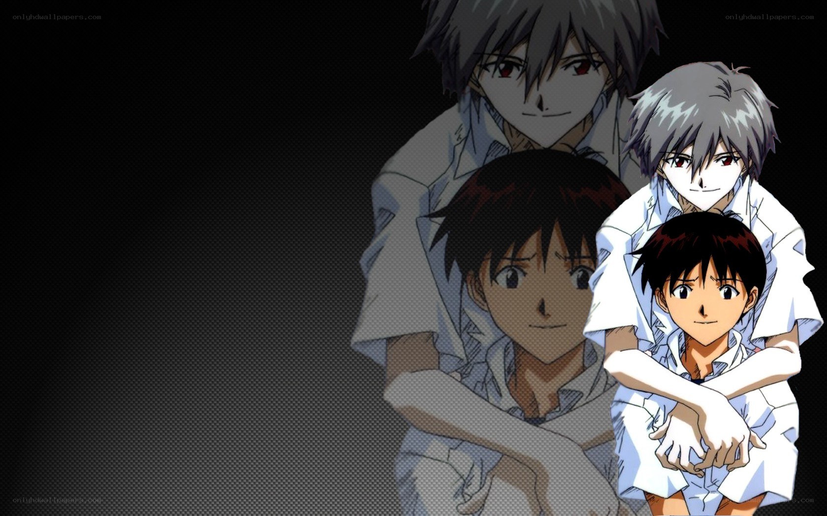 Evangelion character collage