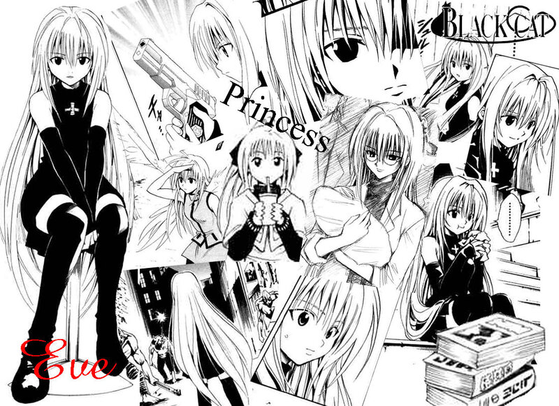 Eve from Black Cat collage