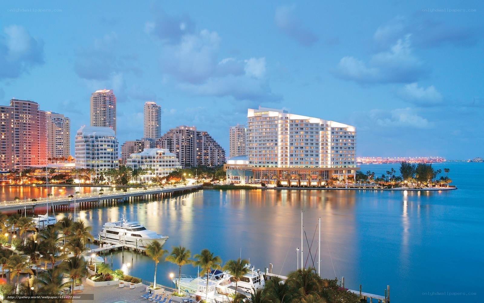 Evening cityscape with marina