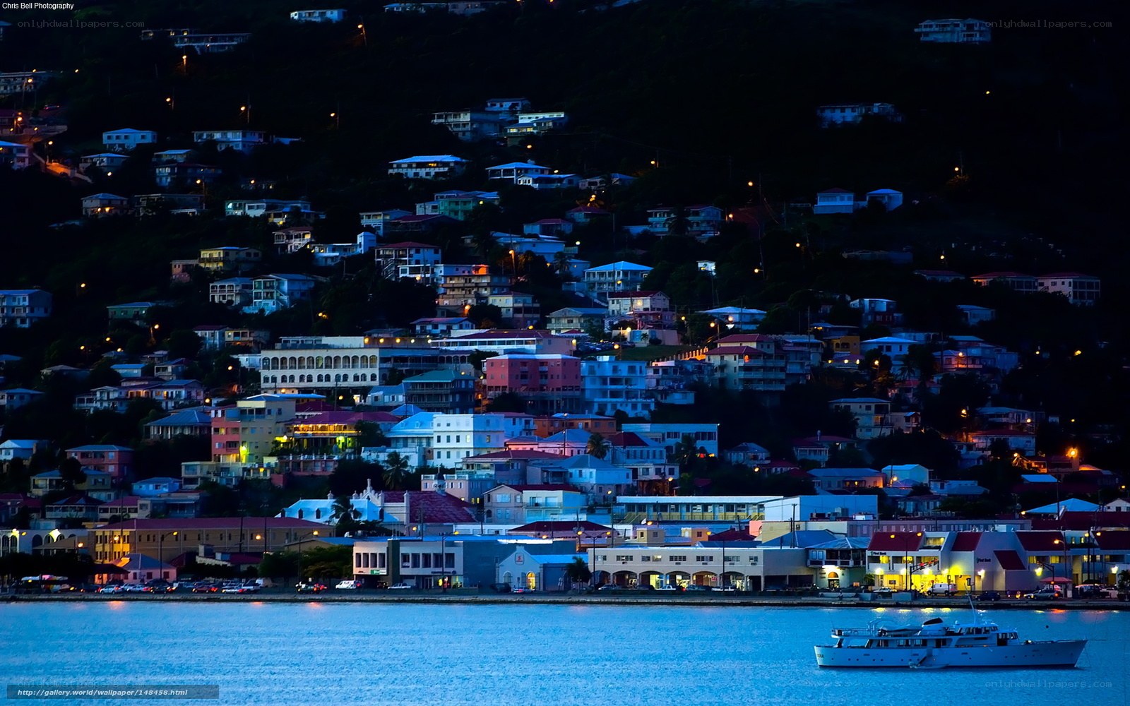 evening lights on a coastal hillside