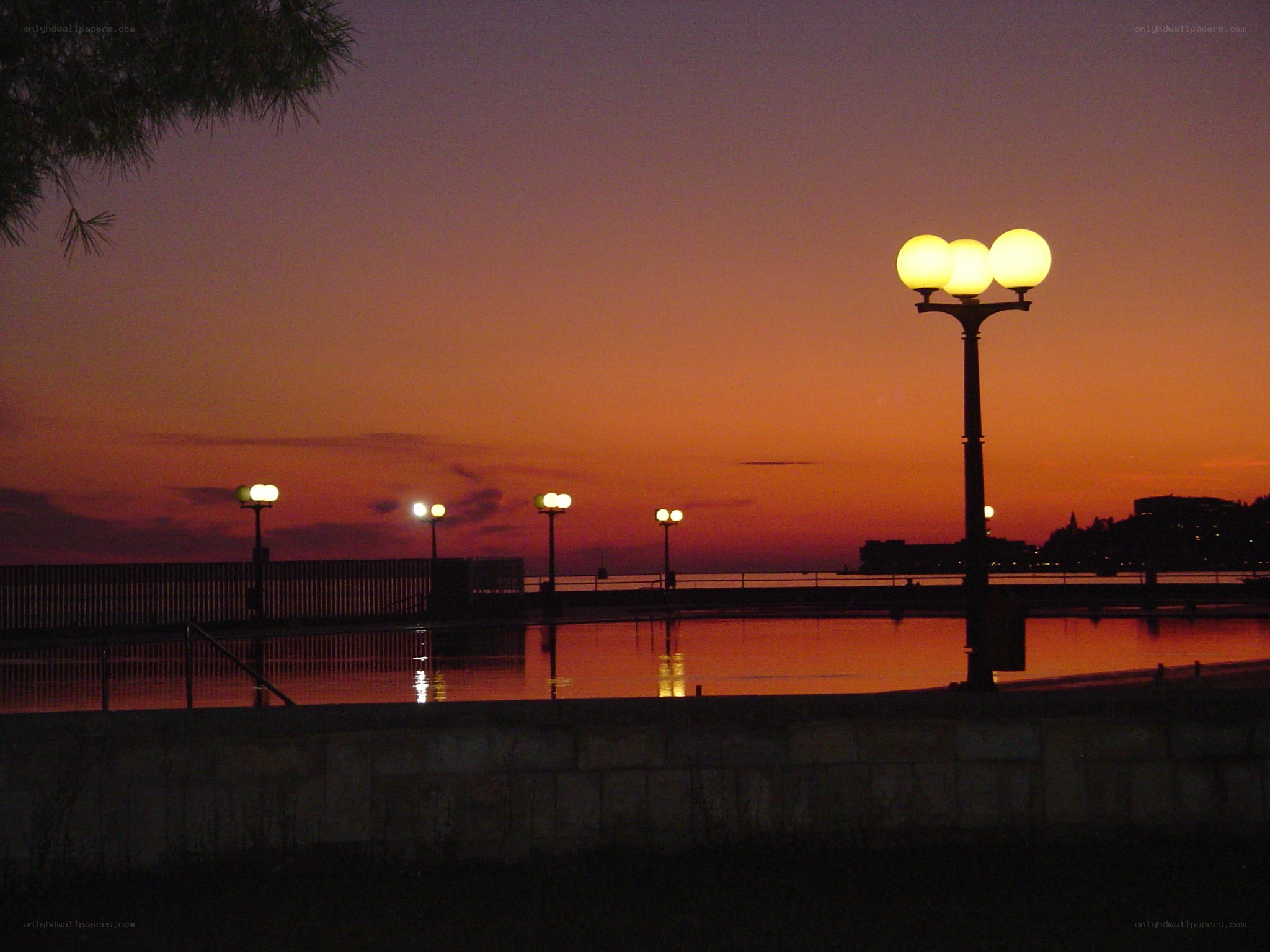 Evening lights on a waterfront