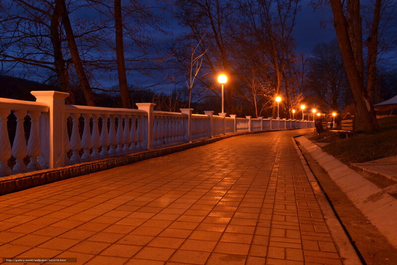 Evening walkway in the park