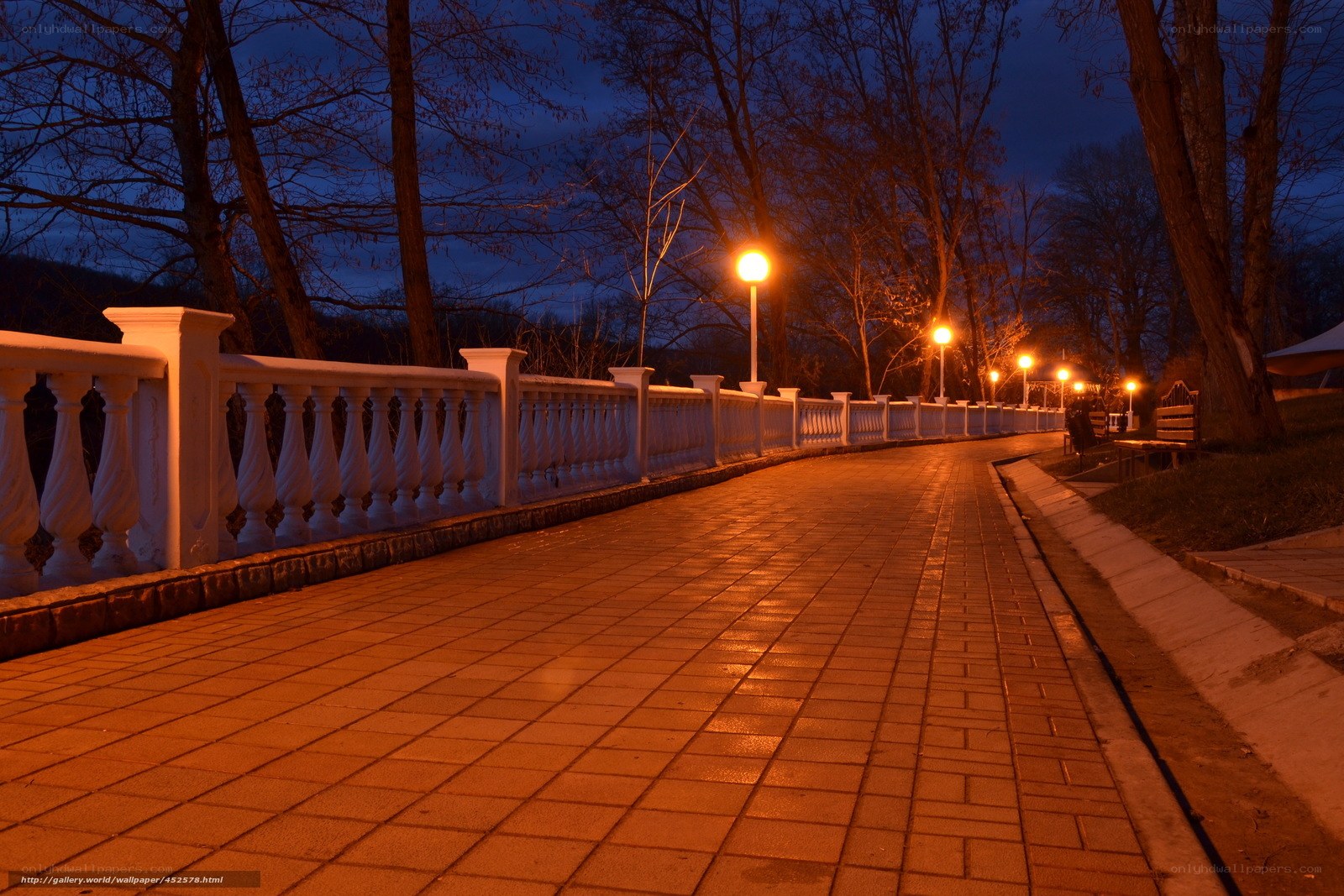 Evening walkway in the park