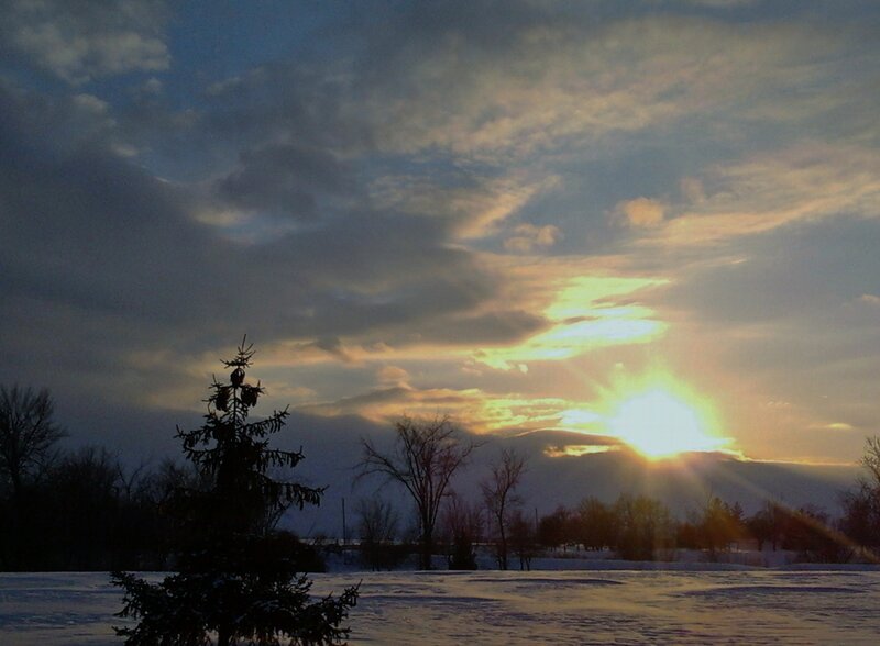 Evergreen Tree in Snow — Blue