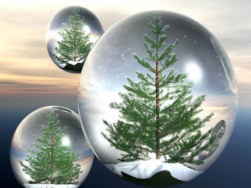 Evergreen Trees in Snow Globes