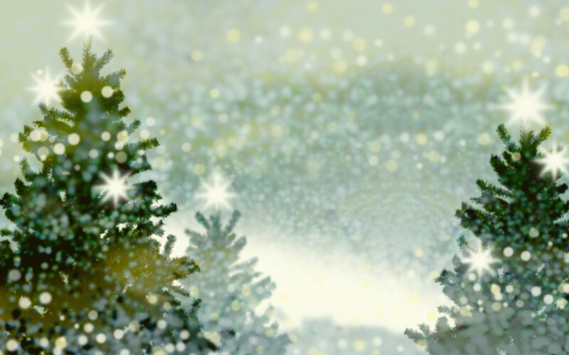 Evergreen Trees in Snow — Green