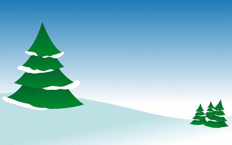 Evergreen Trees in Snow