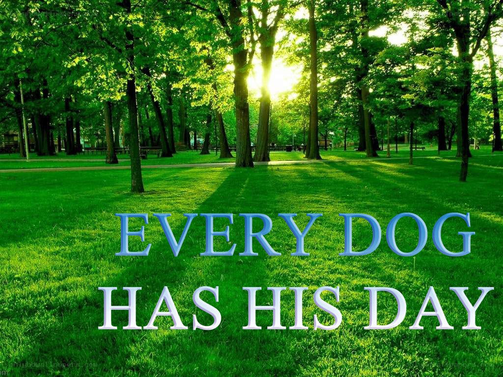 Every dog has his day