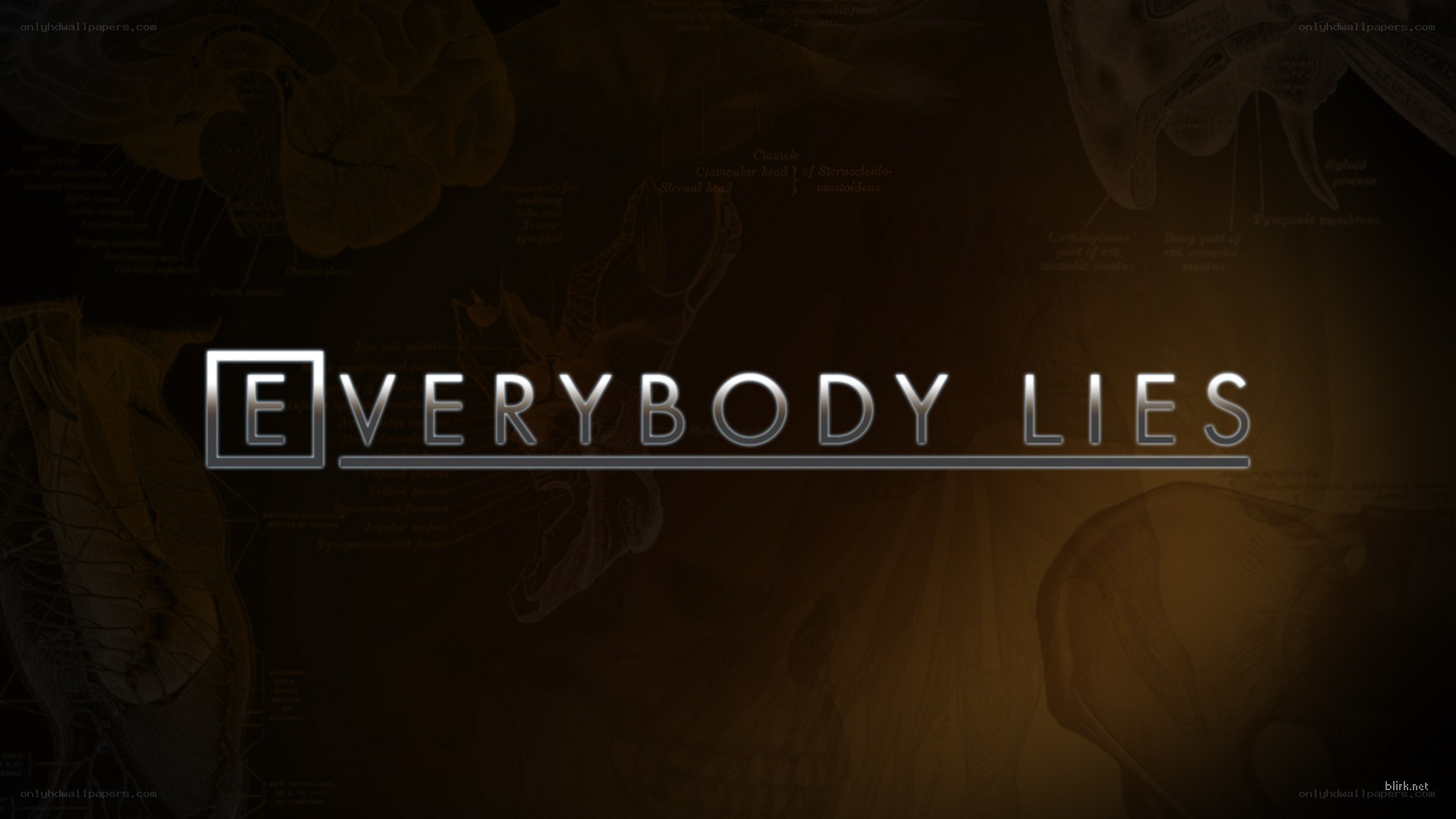 Everybody Lies title card