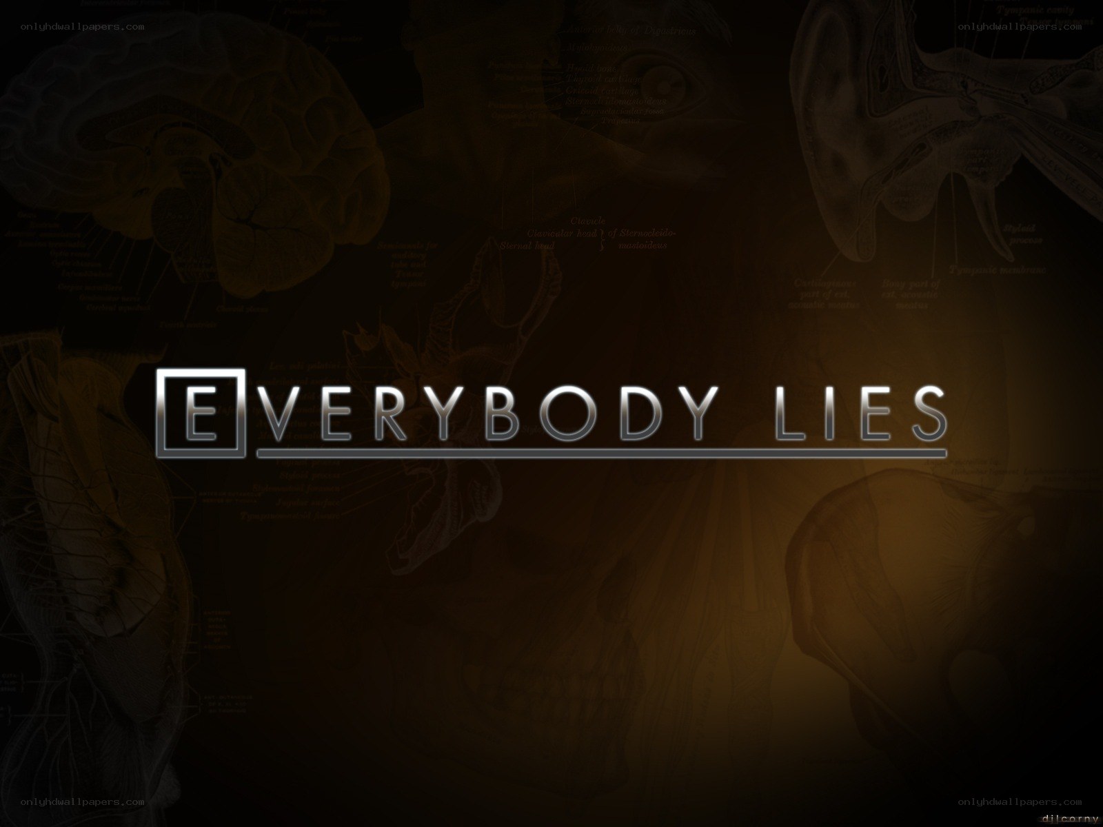 Everybody Lies title card