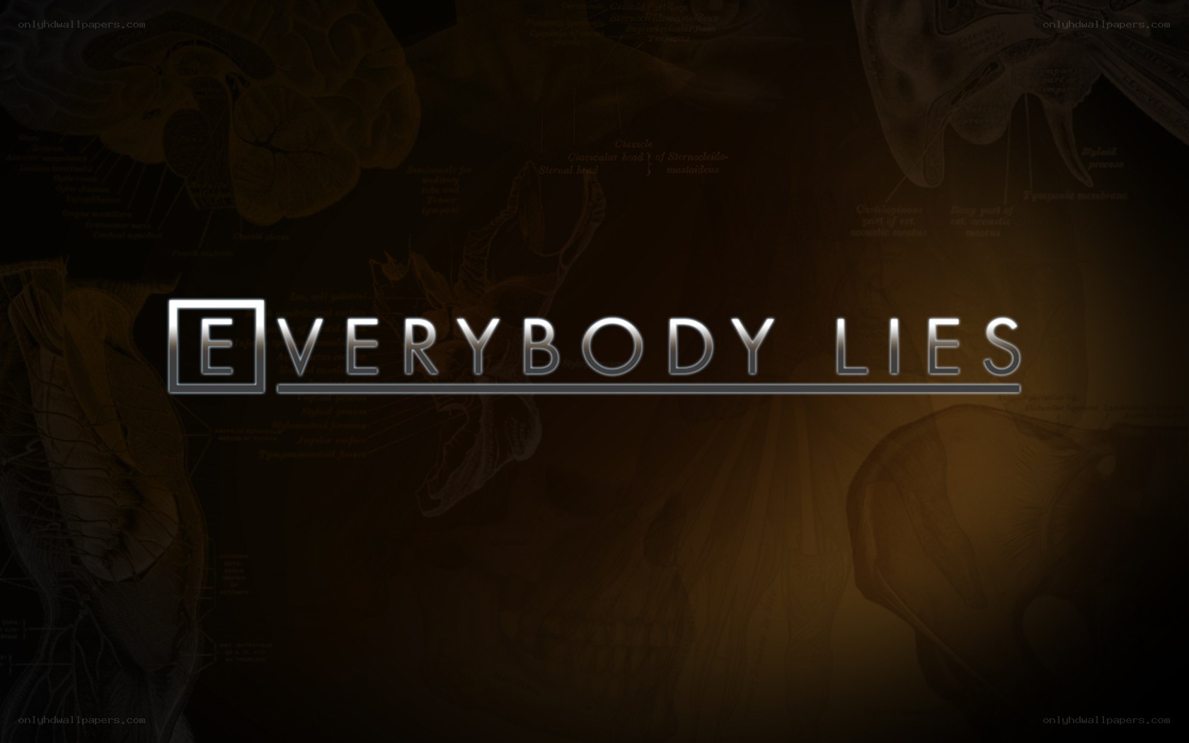 Everybody Lies title card