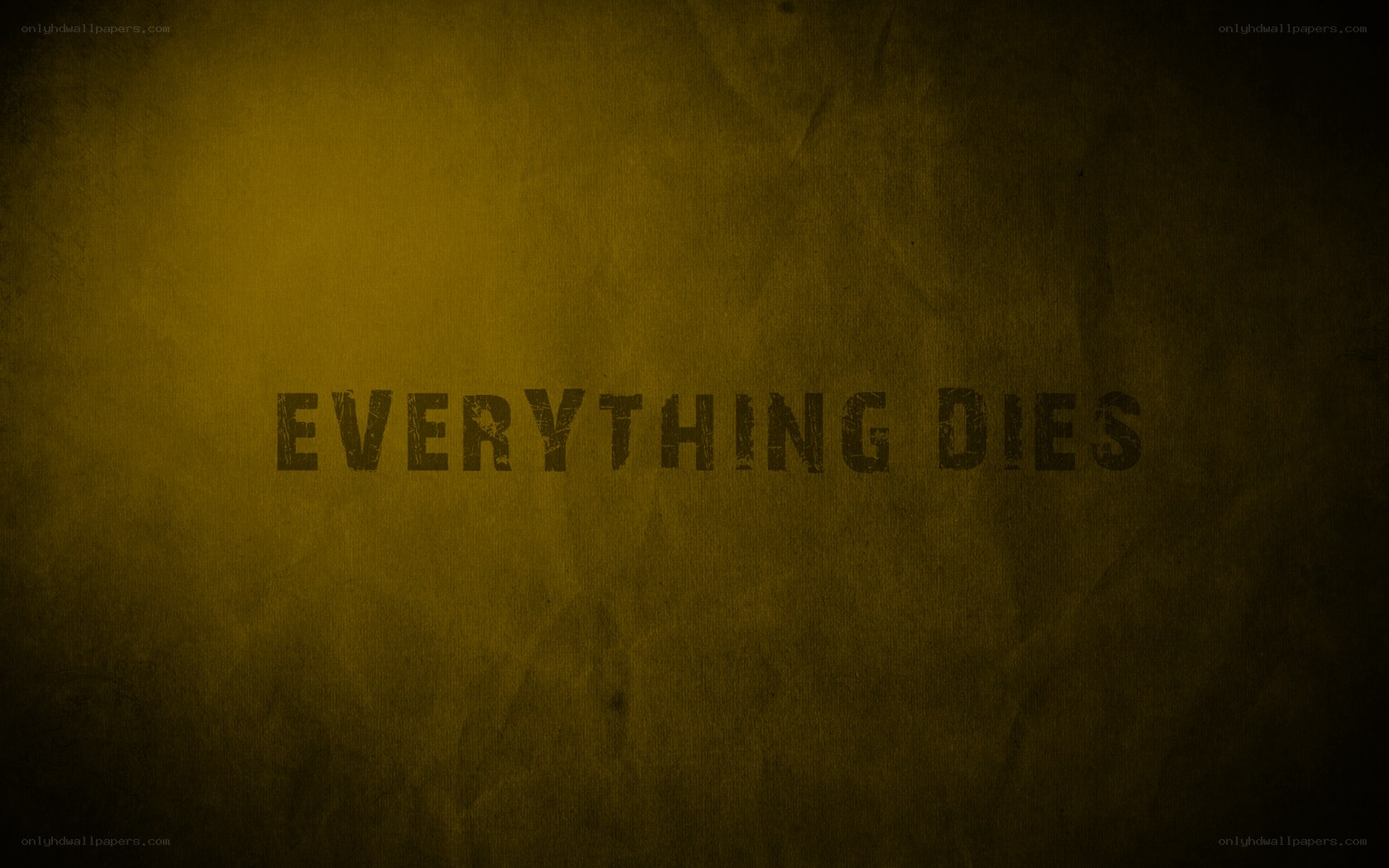 Everything Dies text on yellow background