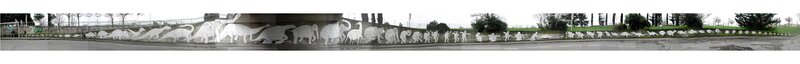 evolution mural on wall