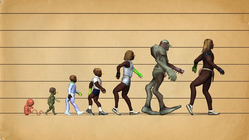 evolution of a bird-like species