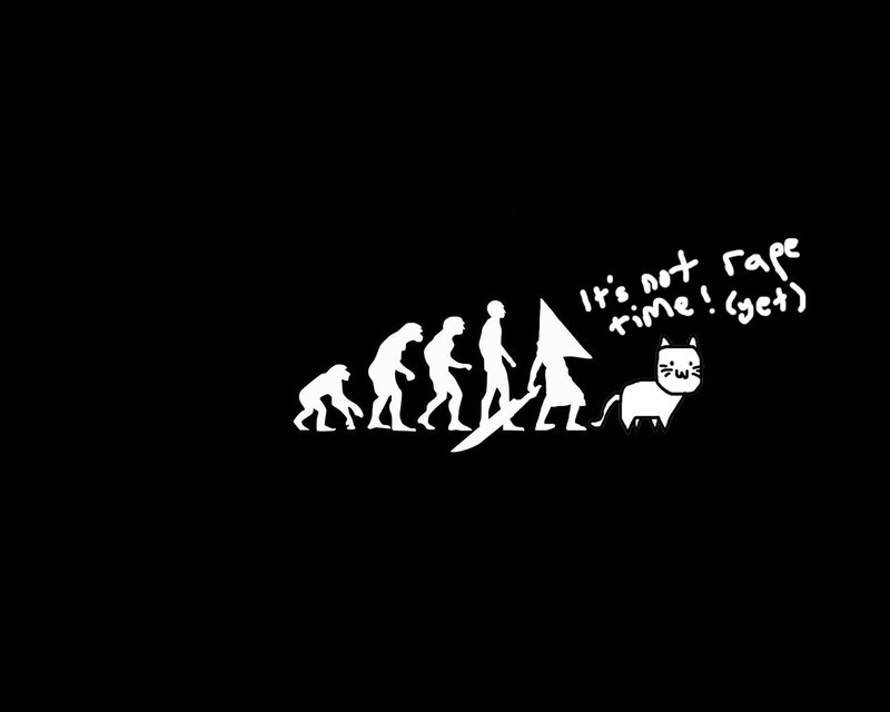 evolution of a cat