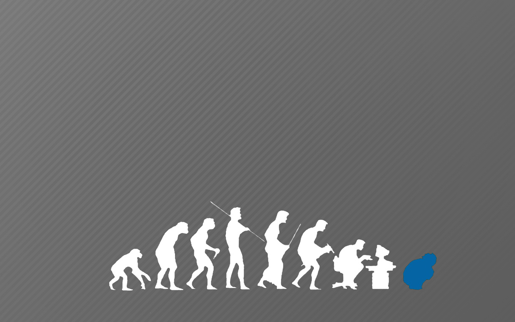 evolution of a programmer