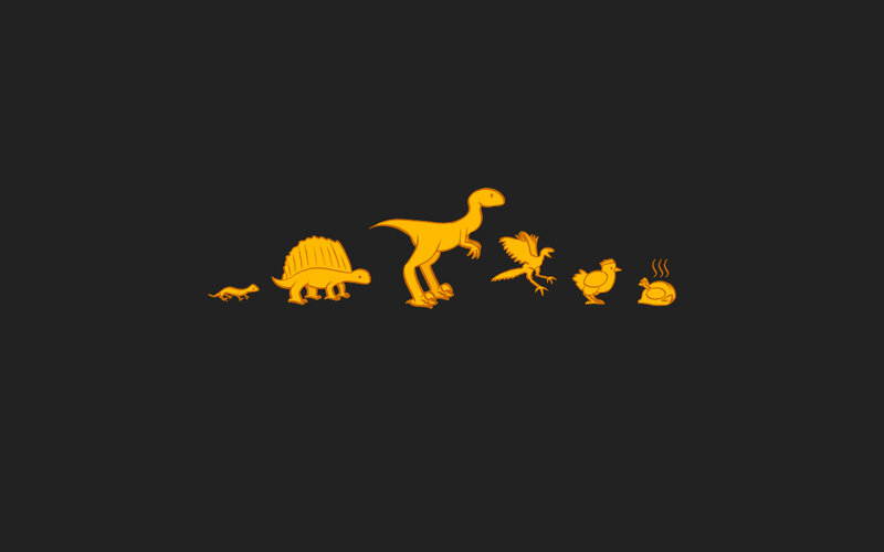 evolution of birds