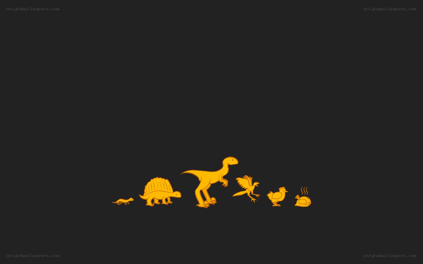 evolution of birds