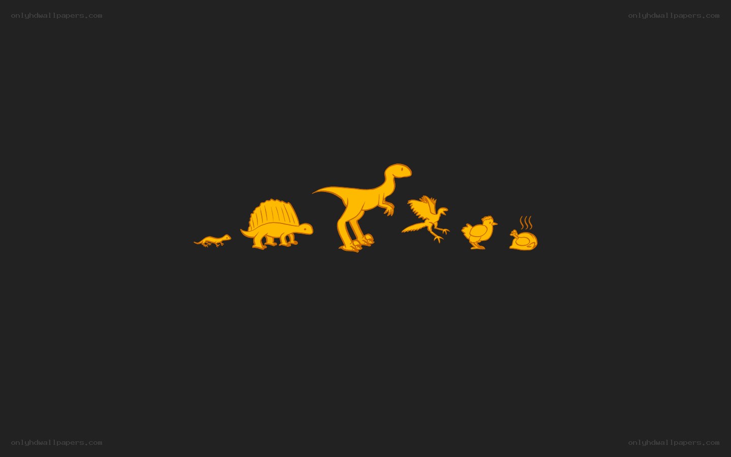 evolution of chickens