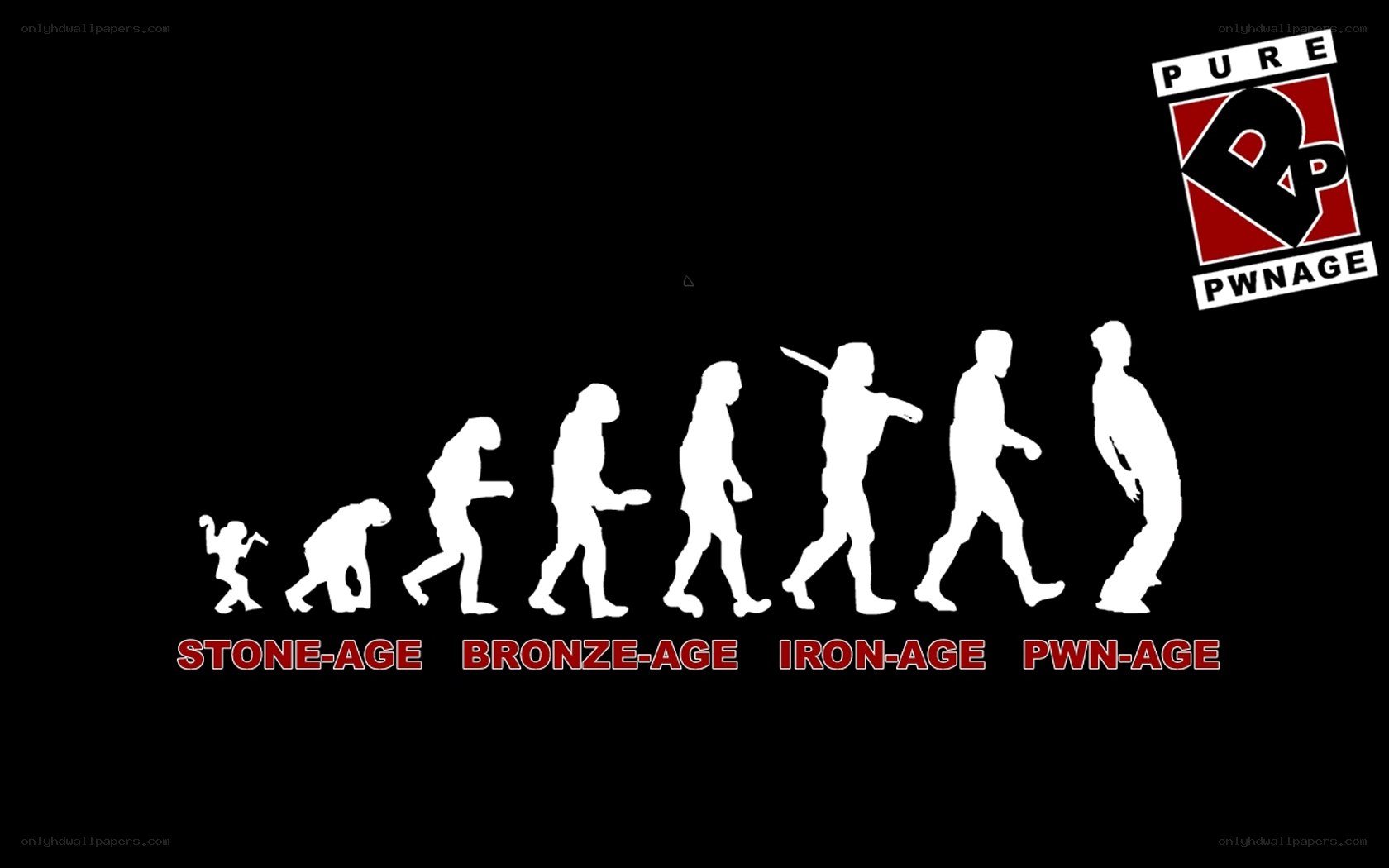 evolution of gaming skill