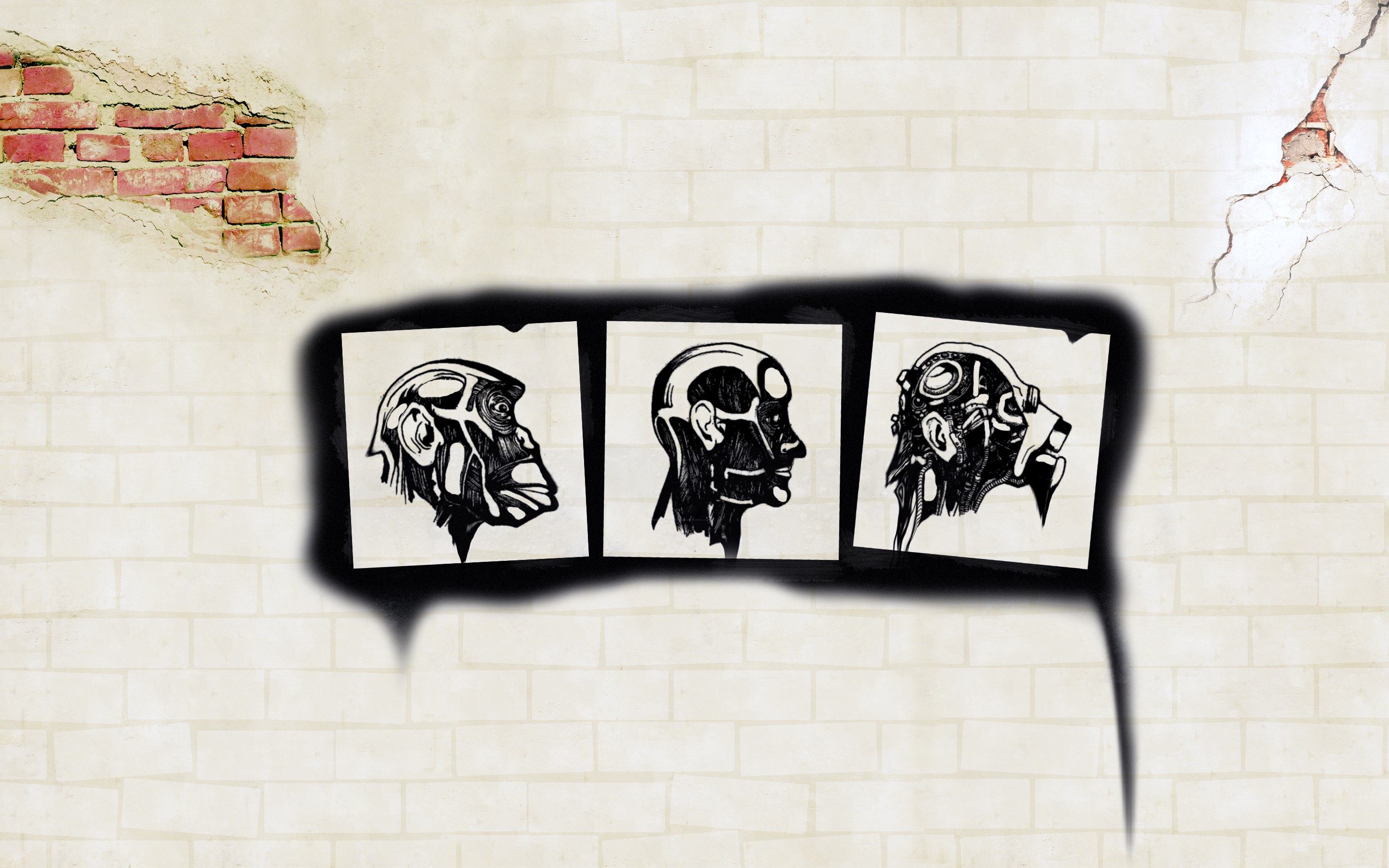 evolution of heads on a wall