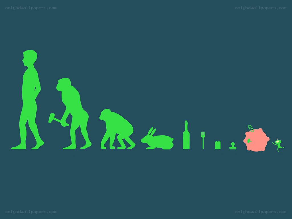 evolution of human life
