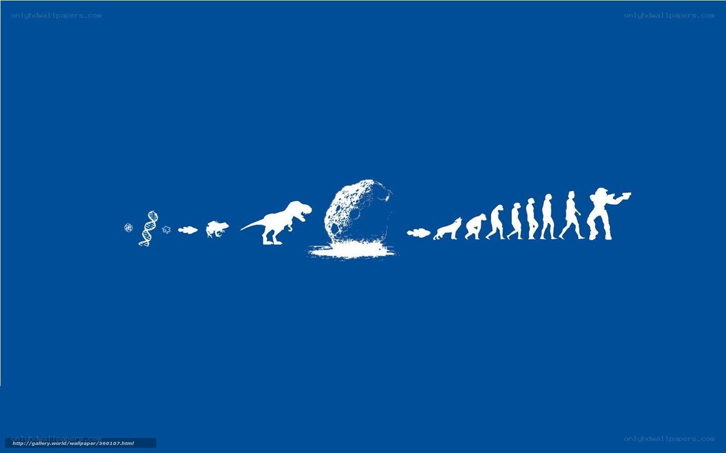 evolution of humanity