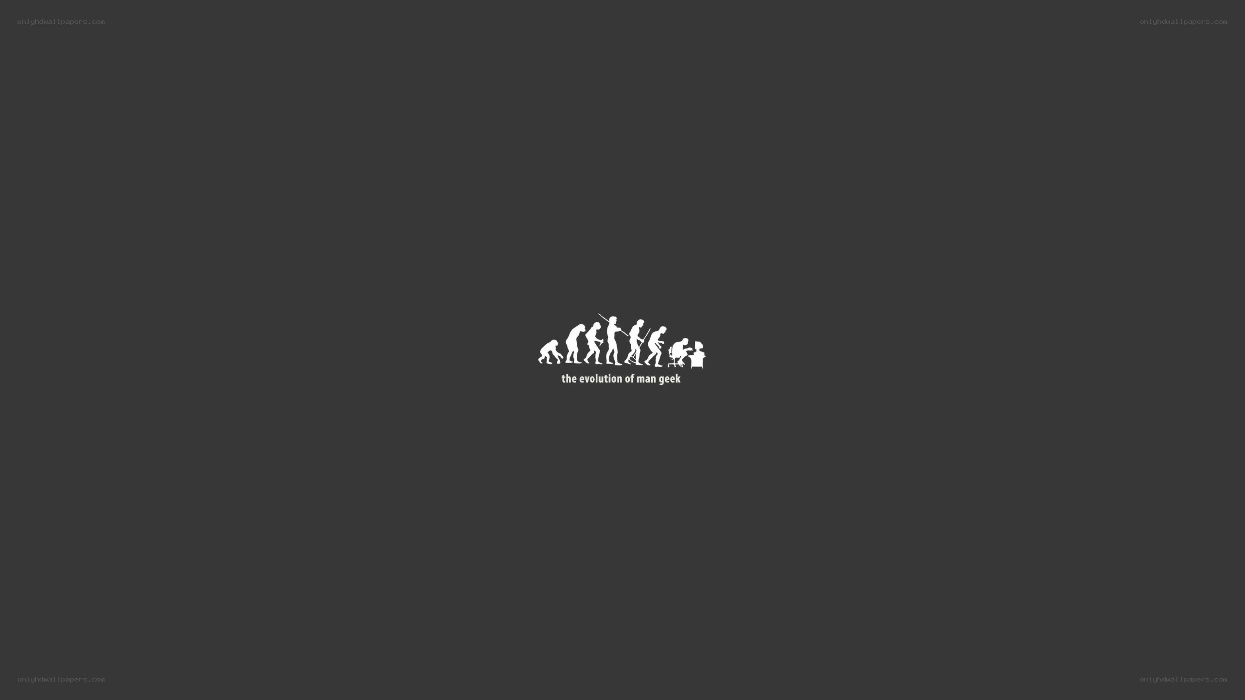 evolution of man geek