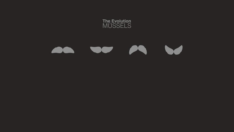 Evolution of Mussels