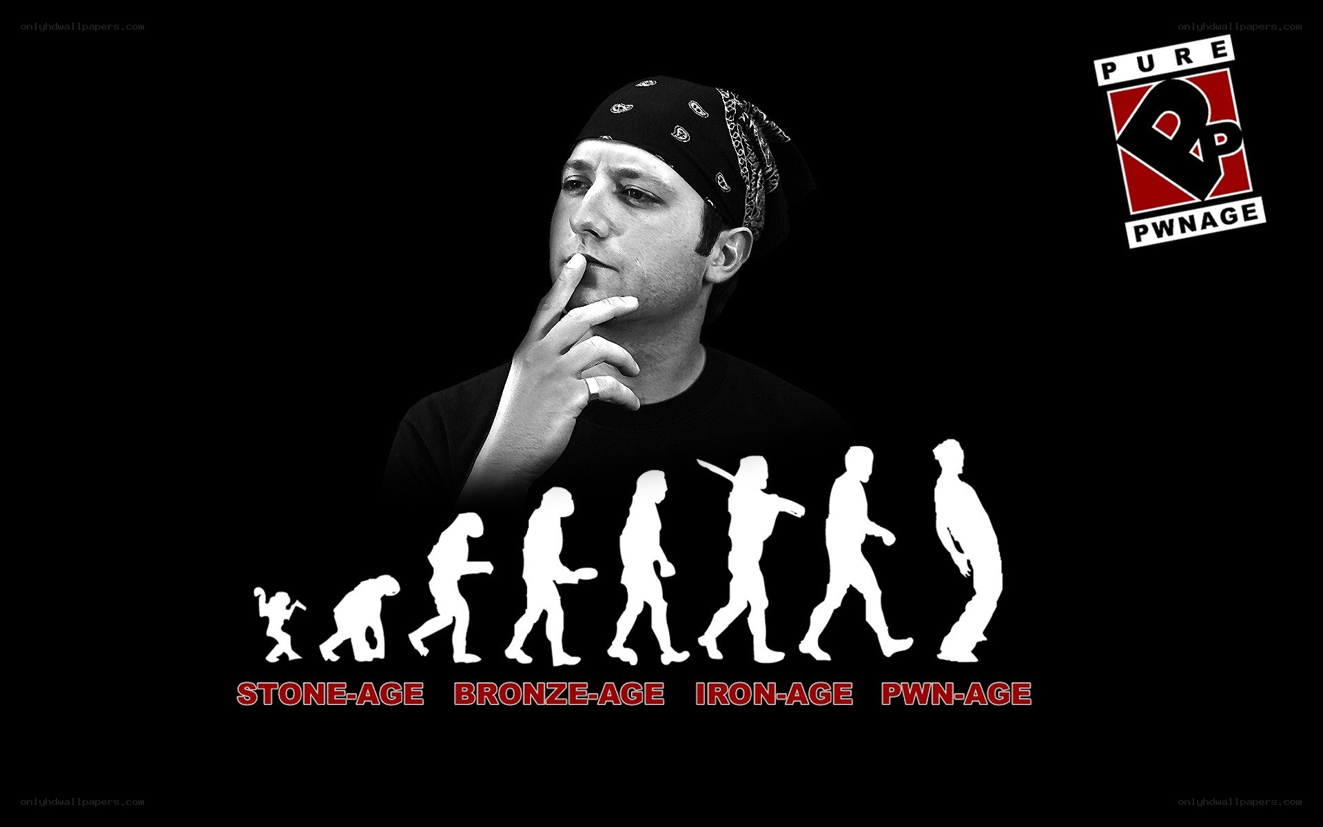 evolution of pwnage