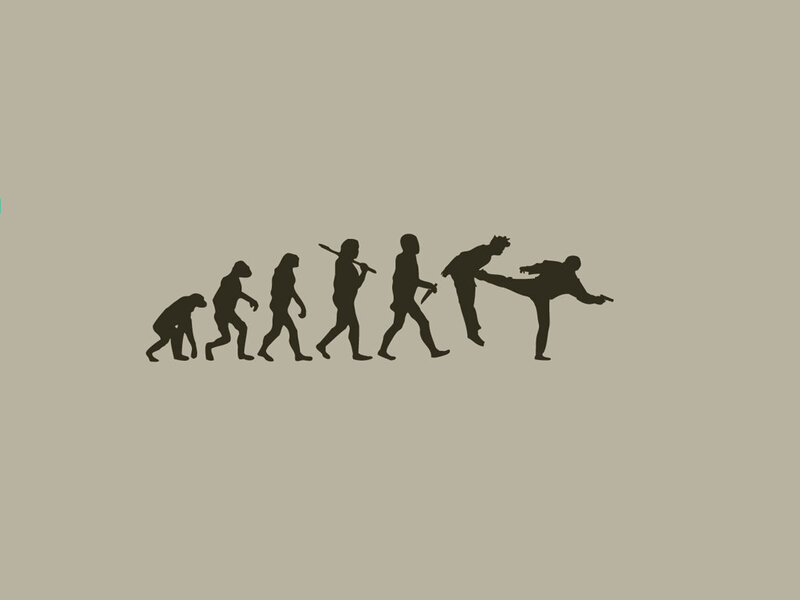 evolution to martial arts