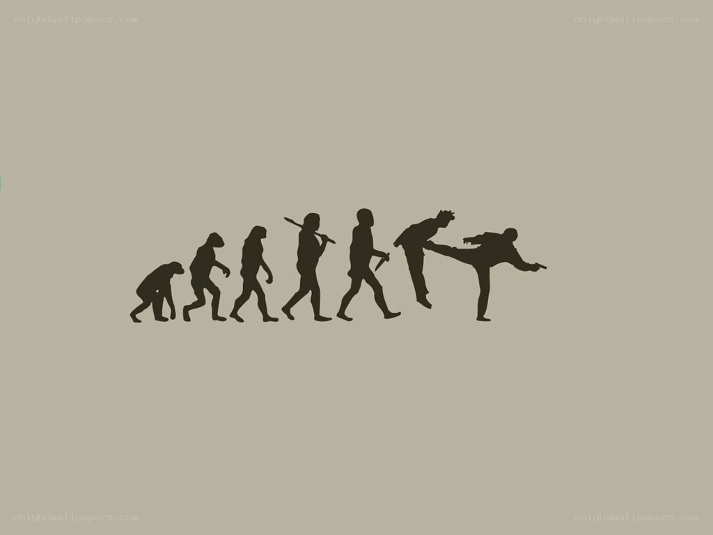 evolution to martial arts