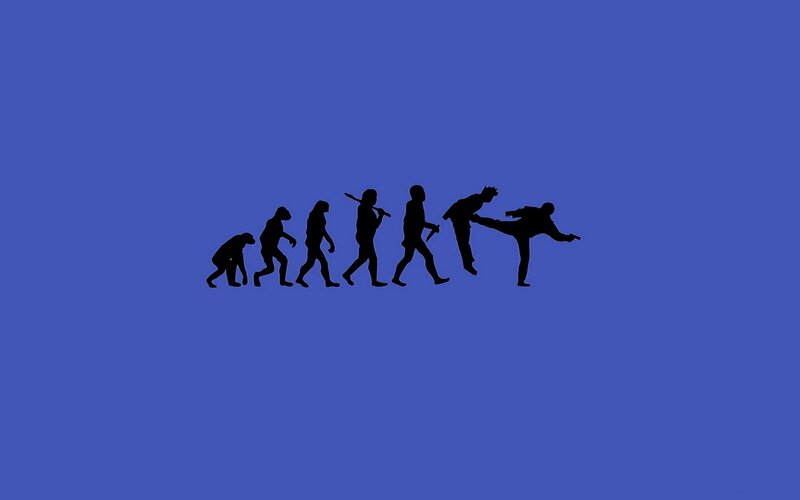 evolution to martial arts