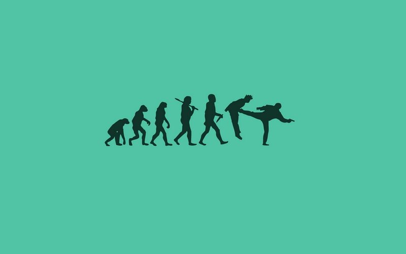 evolution to martial arts