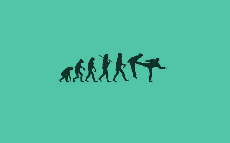 Evolution to Martial Arts — Teal