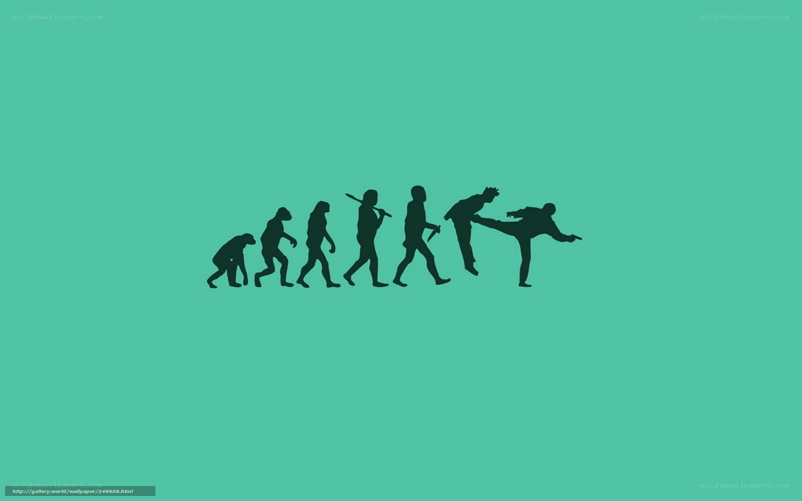 evolution to martial arts