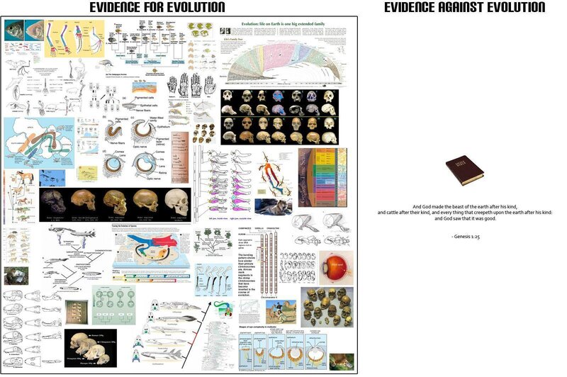 Evolution vs creationism poster