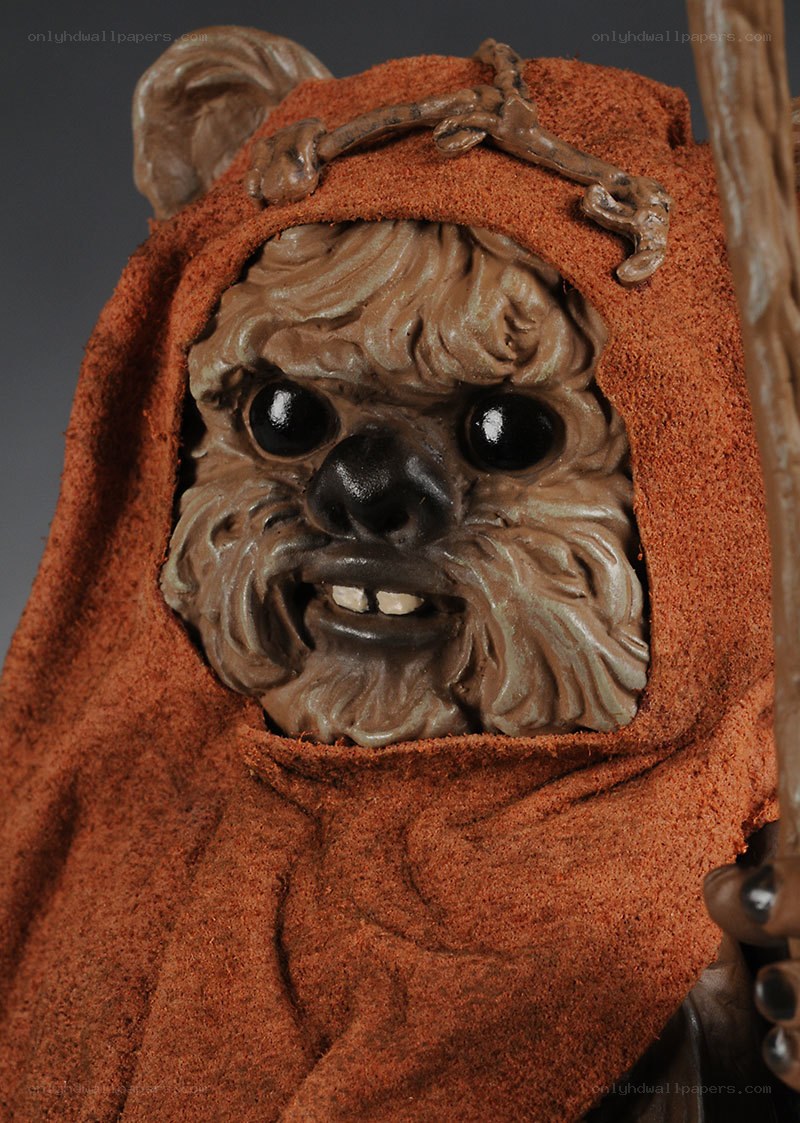 Ewok action figure close-up