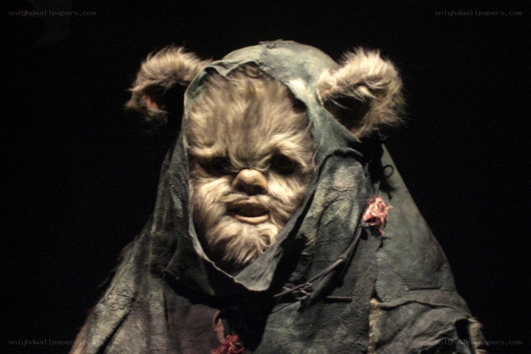 Ewok character from Star Wars