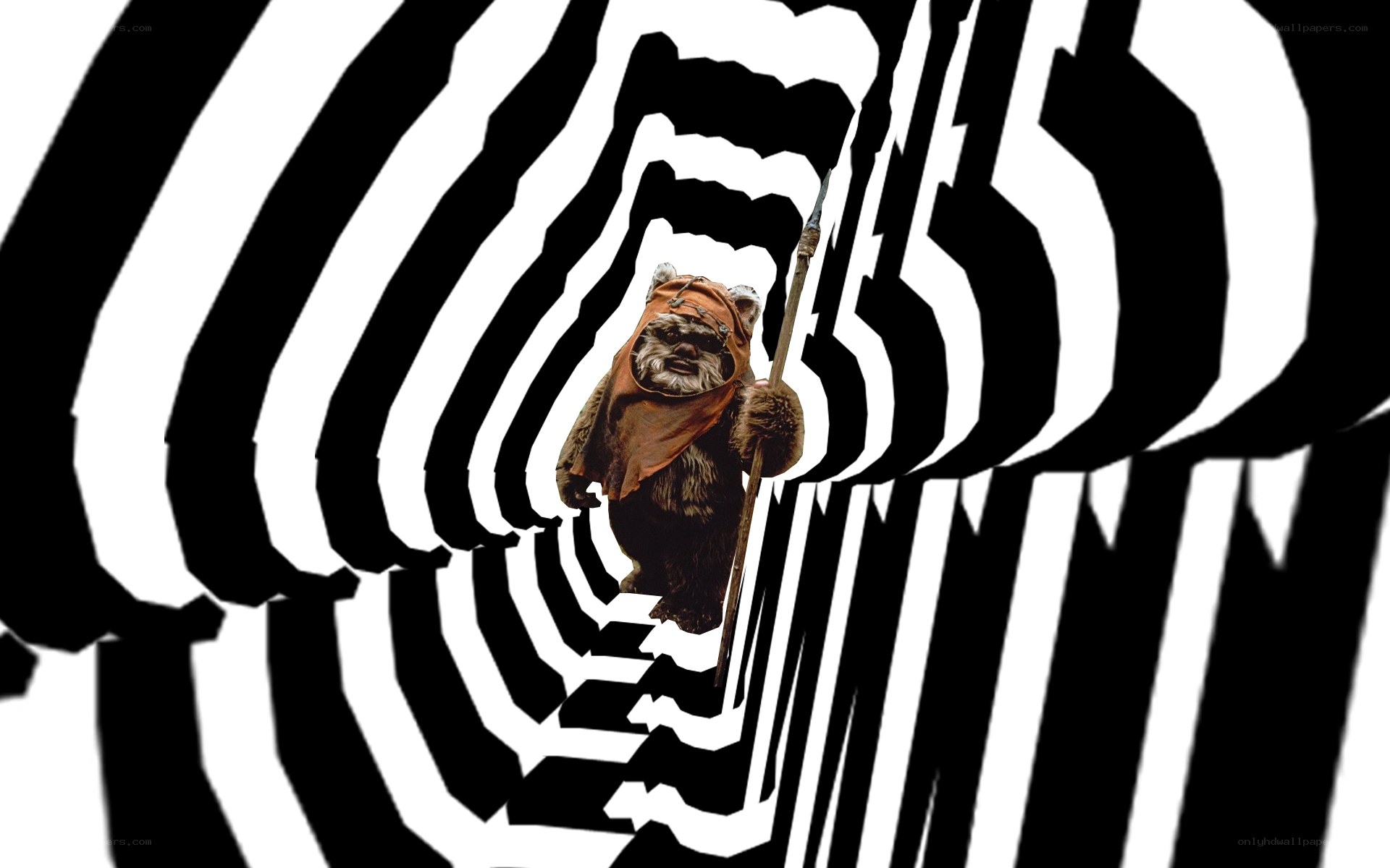 Ewok in a tunnel