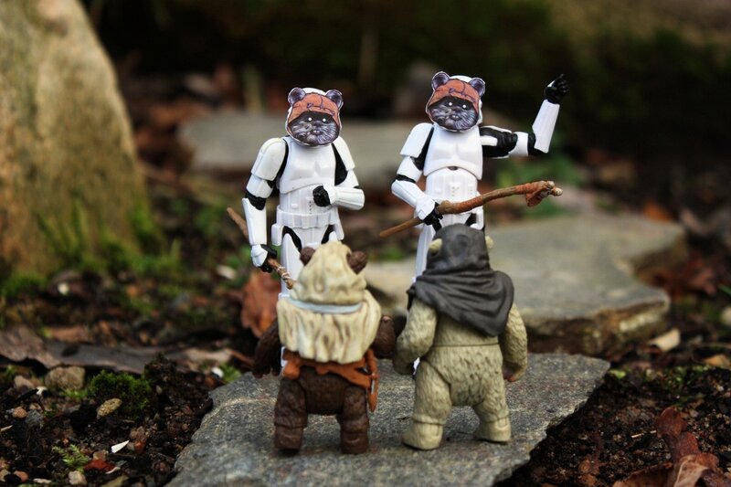 Ewoks and stormtroopers in forest