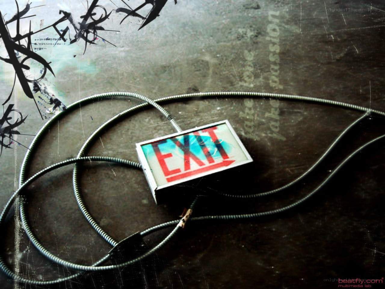 Exit sign with coiled cable