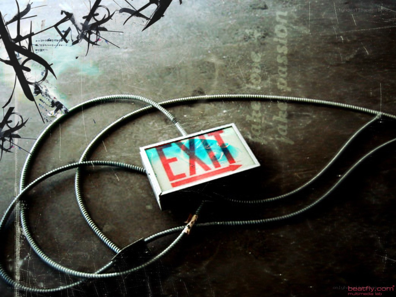Exit sign with coiled cable