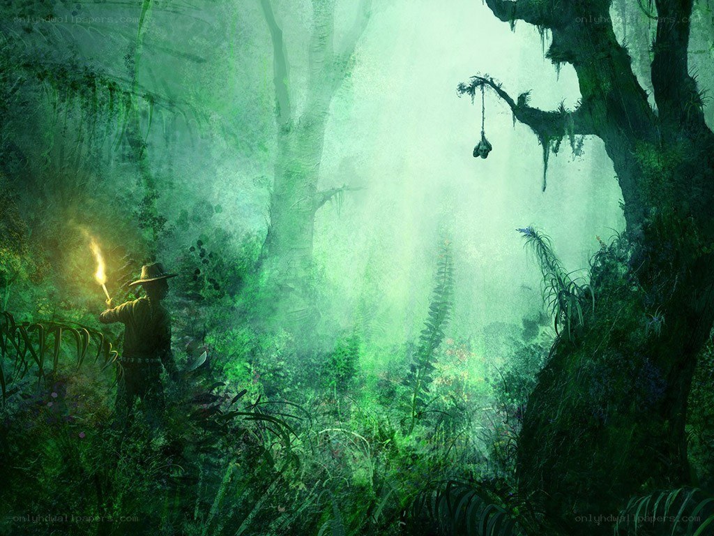 Explorer in a misty jungle
