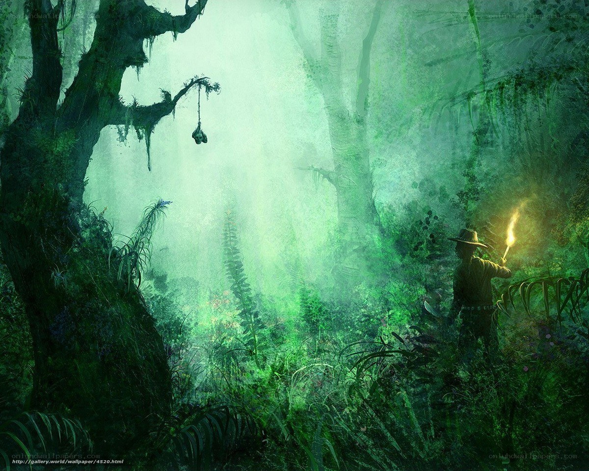 Explorer in a misty jungle