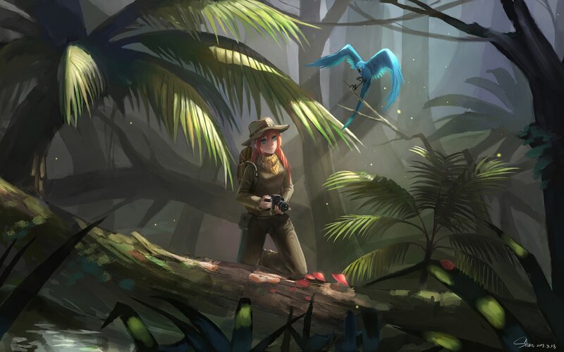 Explorer in Jungle — Green, Serene