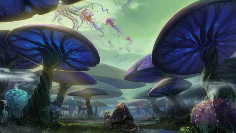 Explorer with Turtle — Blue